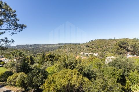 Granja a Setubal, Setubal, Setubal - € 895.000 | Ref: 10150 - foto 14