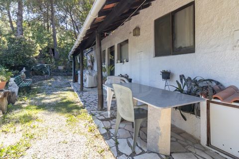 Granja a Setubal, Setubal, Setubal - € 895.000 | Ref: 10150 - foto 16