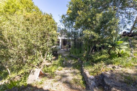 Granja a Setubal, Setubal, Setubal - € 895.000 | Ref: 10150 - foto 17