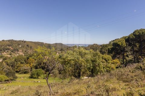Granja a Setubal, Setubal, Setubal - € 895.000 | Ref: 10150 - foto 23