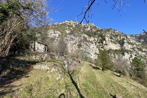 Helårsgrund i Gorbio, Alpes-Maritimes, Gorbio - € 195.000 | Ref: D15886 - foto 3