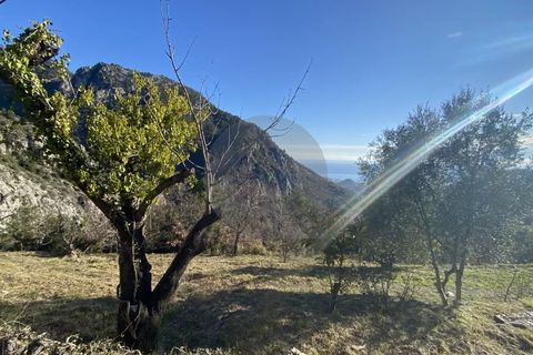 Helårsgrund i Gorbio, Alpes-Maritimes, Gorbio - € 195.000 | Ref: D15886 - foto 5
