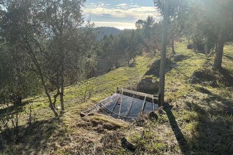 Helårsgrund i Gorbio, Alpes-Maritimes, Gorbio - € 195.000 | Ref: D15886 - foto 6