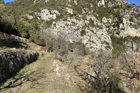 Helårsgrund i Gorbio, Alpes-Maritimes, Gorbio - € 195.000 | Ref: D15886 - foto 7