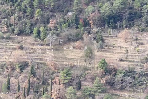 Helårsgrund i Gorbio, Alpes-Maritimes, Gorbio - € 195.000 | Ref: D15886 - foto 10