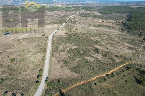 Terra a Perais, Castelo Branco, Perais - € 12.500 | Ref: 5004 - foto 2