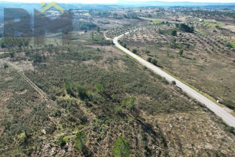 Terra a Perais, Castelo Branco, Perais - € 12.500 | Ref: 5004 - foto 3