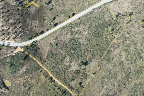 Terra a Perais, Castelo Branco, Perais - € 12.500 | Ref: 5004 - foto 4