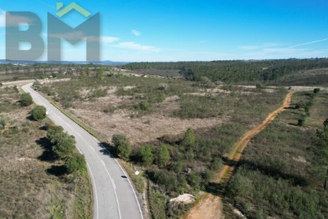 Terra a Perais, Castelo Branco, Perais - € 12.500 | Ref: 5004 - foto 5