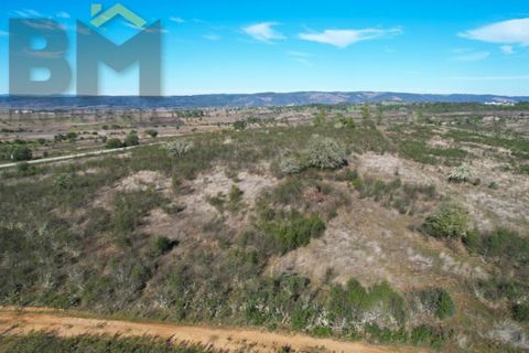 Terra a Perais, Castelo Branco, Perais - € 12.500 | Ref: 5004 - foto 6