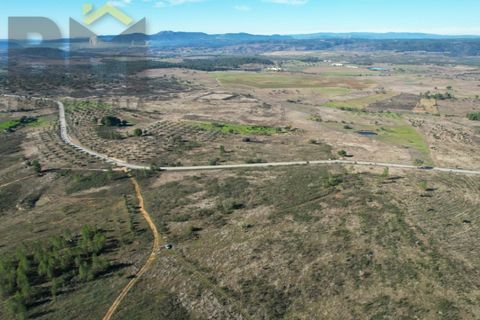 Terra a Perais, Castelo Branco, Perais - € 12.500 | Ref: 5004 - foto 7