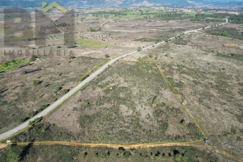 Terra a Perais, Castelo Branco, Perais - € 12.500 | Ref: 5004 - foto 8