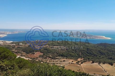 Lejlighed i Setubal, Setubal, Setubal - € 329.000 | Ref: 1121691 - foto 43