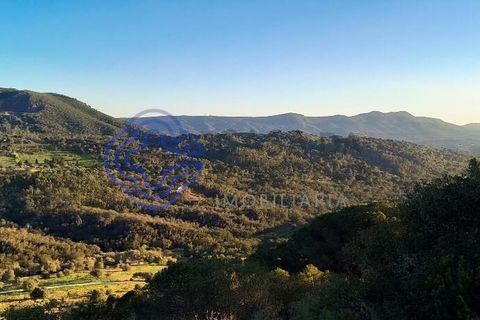 Lejlighed i Setubal, Setubal, Setubal - € 329.000 | Ref: 1121691 - foto 34