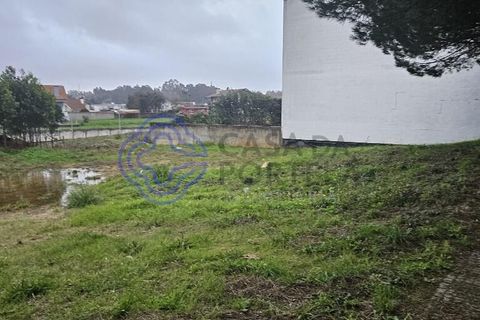 Helårsgrund i Espinho, Aveiro, Espinho - € 59.500 | Ref: 1121981 - foto 9