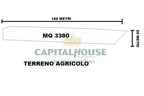 Terra a Recale, Caserta, Recale - € 20.000 | Ref: 20RE04 - foto 2