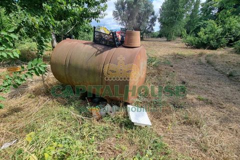 Terra a Recale, Caserta, Recale - € 20.000 | Ref: 20RE04 - foto 4