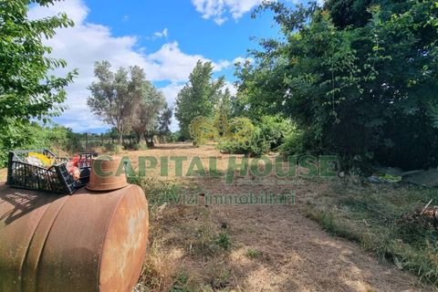 Terra a Recale, Caserta, Recale - € 20.000 | Ref: 20RE04 - foto 5