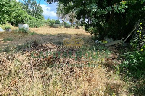 Terra a Recale, Caserta, Recale - € 20.000 | Ref: 20RE04 - foto 6