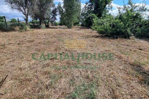 Terra a Recale, Caserta, Recale - € 20.000 | Ref: 20RE04 - foto 7
