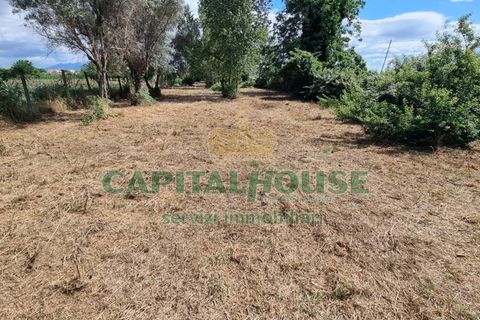 Terra a Recale, Caserta, Recale - € 20.000 | Ref: 20RE04 - foto 8