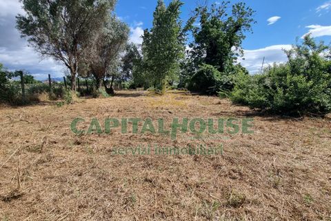 Terra a Recale, Caserta, Recale - € 20.000 | Ref: 20RE04 - foto 9
