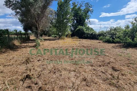 Terra a Recale, Caserta, Recale - € 20.000 | Ref: 20RE04 - foto 11