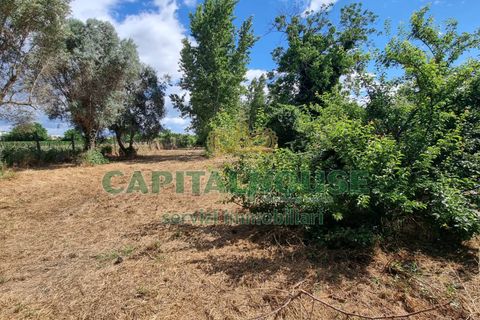 Terra a Recale, Caserta, Recale - € 20.000 | Ref: 20RE04 - foto 12