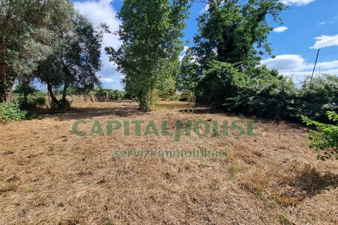 Terra a Recale, Caserta, Recale - € 20.000 | Ref: 20RE04 - foto 13