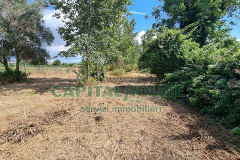 Terra a Recale, Caserta, Recale - € 20.000 | Ref: 20RE04 - foto 14