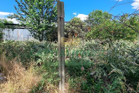 Terra a Recale, Caserta, Recale - € 20.000 | Ref: 20RE04 - foto 15