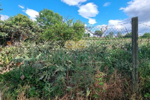 Terra a Recale, Caserta, Recale - € 20.000 | Ref: 20RE04 - foto 16