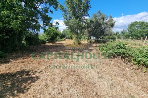 Terra a Recale, Caserta, Recale - € 20.000 | Ref: 20RE04 - foto 17