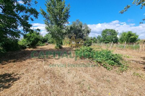 Terra a Recale, Caserta, Recale - € 20.000 | Ref: 20RE04 - foto 18