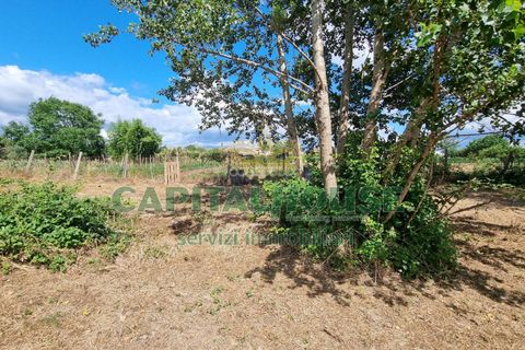 Terra a Recale, Caserta, Recale - € 20.000 | Ref: 20RE04 - foto 19