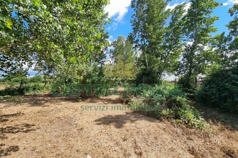 Terra a Recale, Caserta, Recale - € 20.000 | Ref: 20RE04 - foto 20