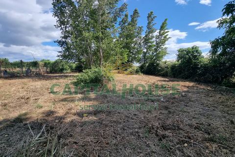 Terra a Recale, Caserta, Recale - € 20.000 | Ref: 20RE04 - foto 21