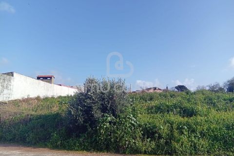 Helårsgrund i Estarreja, Aveiro, Estarreja - € 57.000 | Ref: PP05022026 - foto 1