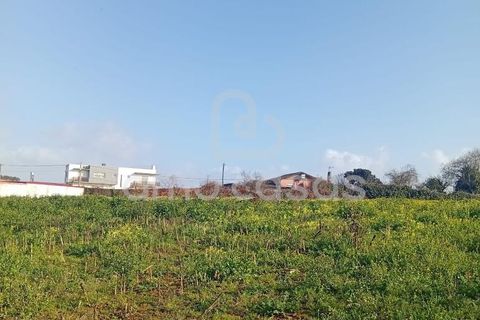 Helårsgrund i Estarreja, Aveiro, Estarreja - € 57.000 | Ref: PP05022026 - foto 2