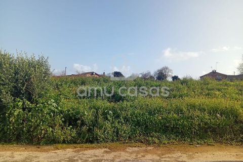 Helårsgrund i Estarreja, Aveiro, Estarreja - € 57.000 | Ref: PP05022026 - foto 4