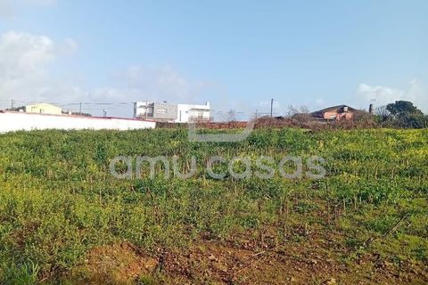 Helårsgrund i Estarreja, Aveiro, Estarreja - € 57.000 | Ref: PP05022026 - foto 5