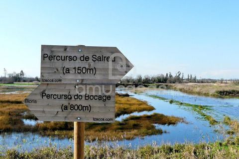Helårsgrund i Estarreja, Aveiro, Estarreja - € 57.000 | Ref: PP05022026 - foto 6