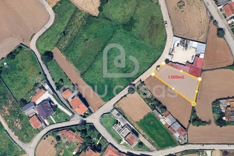 Helårsgrund i Estarreja, Aveiro, Estarreja - € 57.000 | Ref: PP05022026 - foto 9