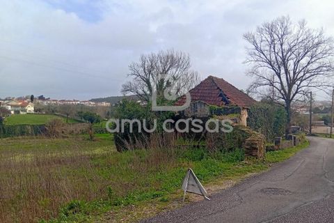 Helårsgrund i Estarreja, Aveiro, Estarreja - € 150.000 | Ref: PP02022026 - foto 1
