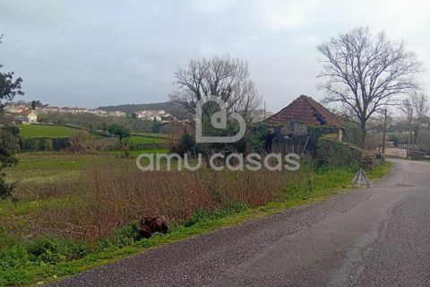 Helårsgrund i Estarreja, Aveiro, Estarreja - € 150.000 | Ref: PP02022026 - foto 2