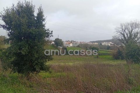 Helårsgrund i Estarreja, Aveiro, Estarreja - € 150.000 | Ref: PP02022026 - foto 3