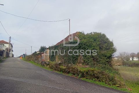 Helårsgrund i Estarreja, Aveiro, Estarreja - € 150.000 | Ref: PP02022026 - foto 5