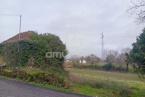 Helårsgrund i Estarreja, Aveiro, Estarreja - € 150.000 | Ref: PP02022026 - foto 6