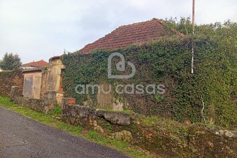 Helårsgrund i Estarreja, Aveiro, Estarreja - € 150.000 | Ref: PP02022026 - foto 7