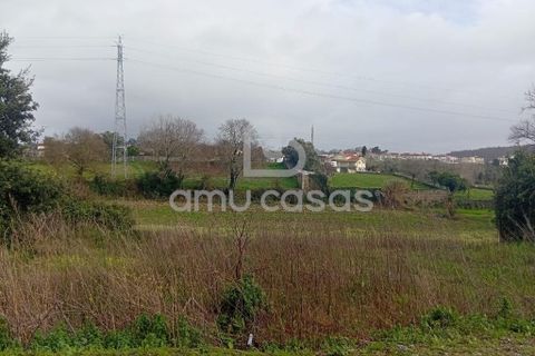 Helårsgrund i Estarreja, Aveiro, Estarreja - € 150.000 | Ref: PP02022026 - foto 8